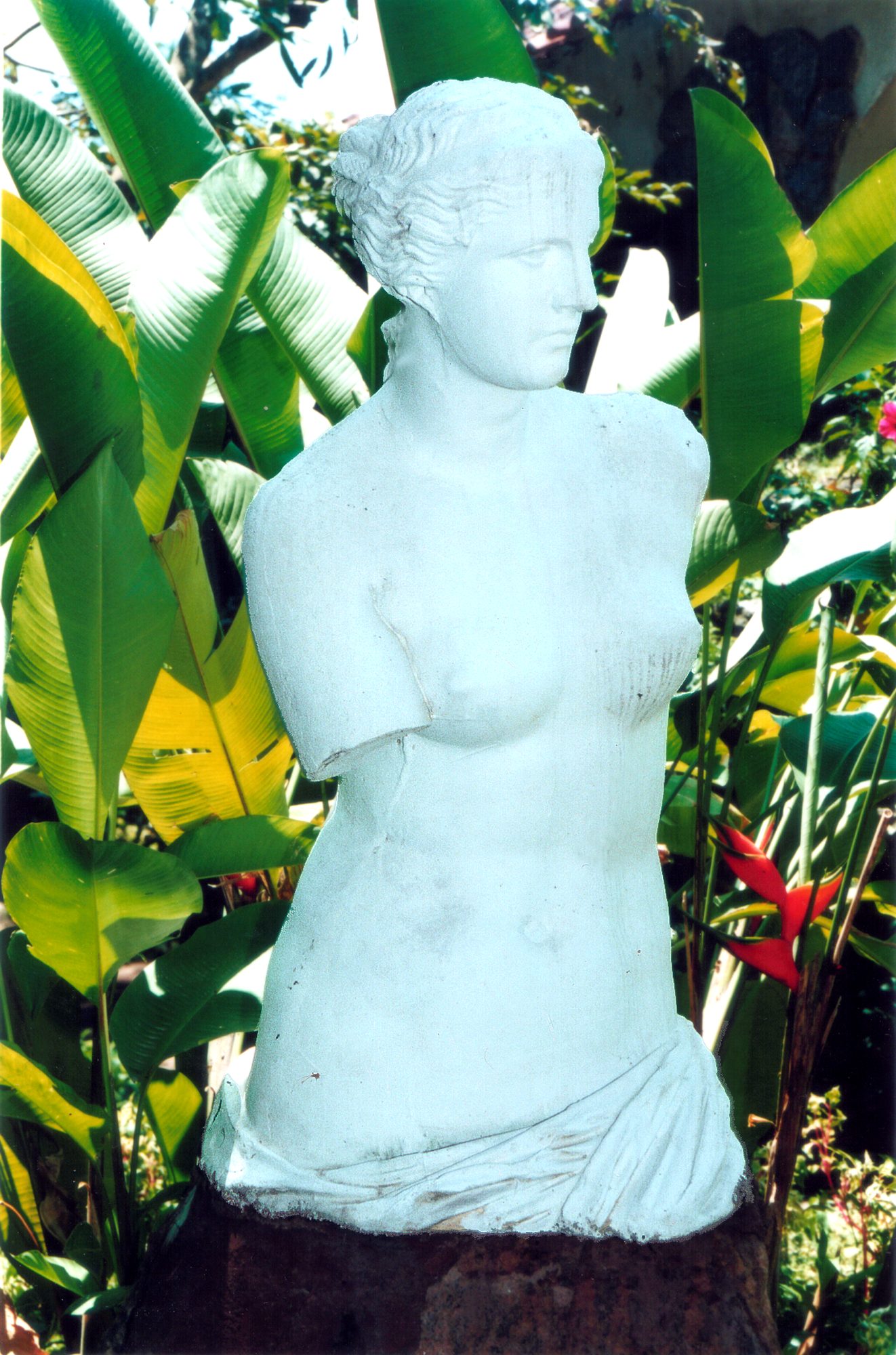 Vênus — Jardim da casa de Pedro Bruno